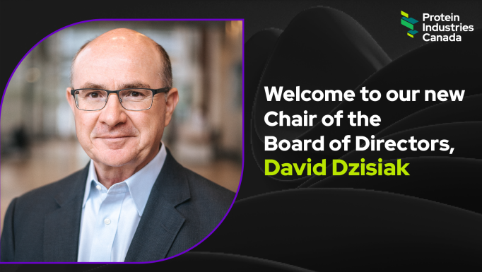 David Dzisiak board chair